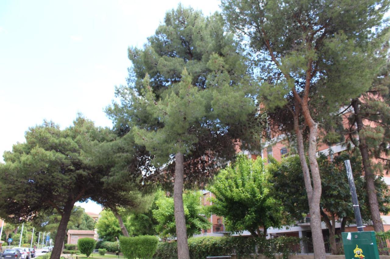 Chelu & Luna Cagliari Luaran gambar